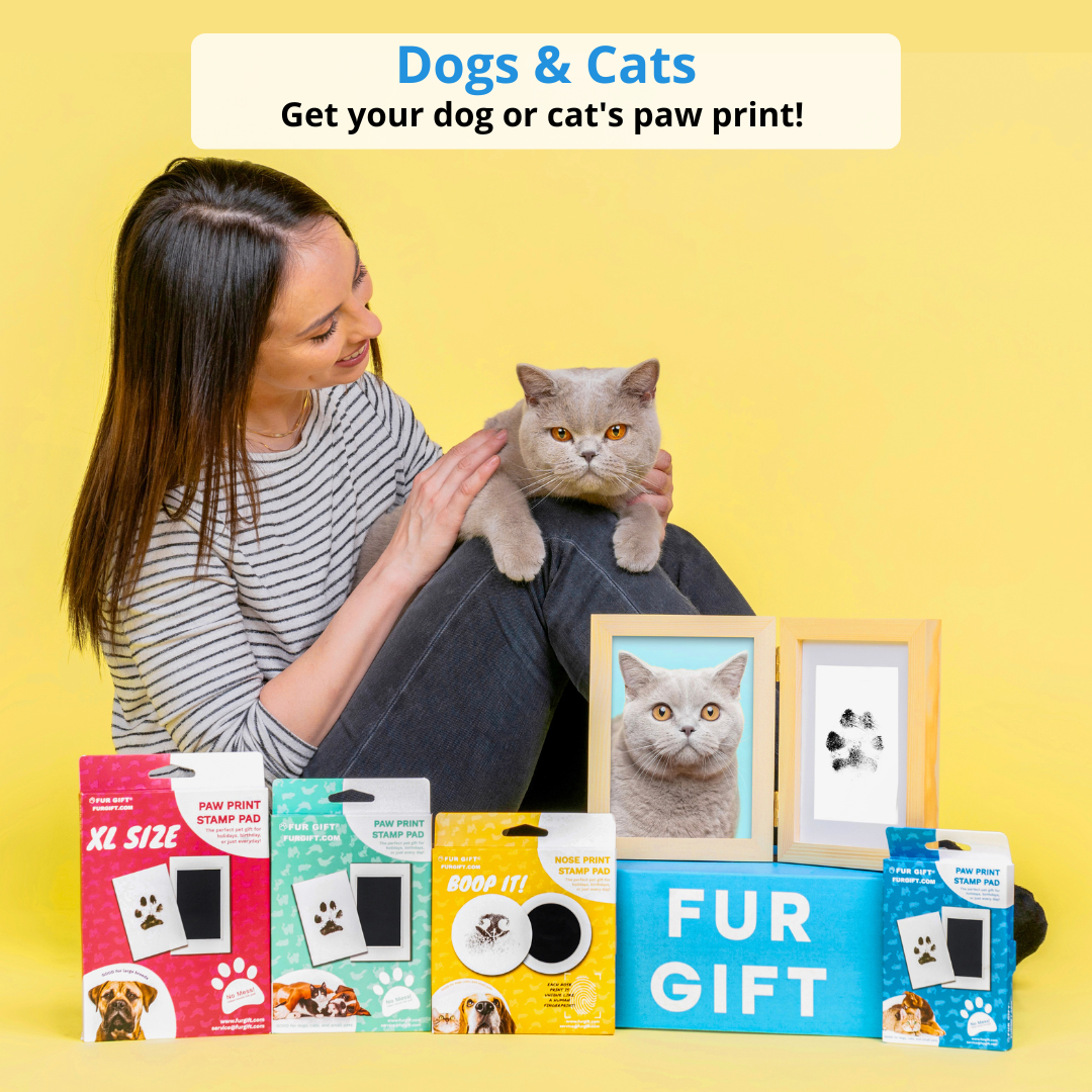 Pet Nose Print Stamp Kit 