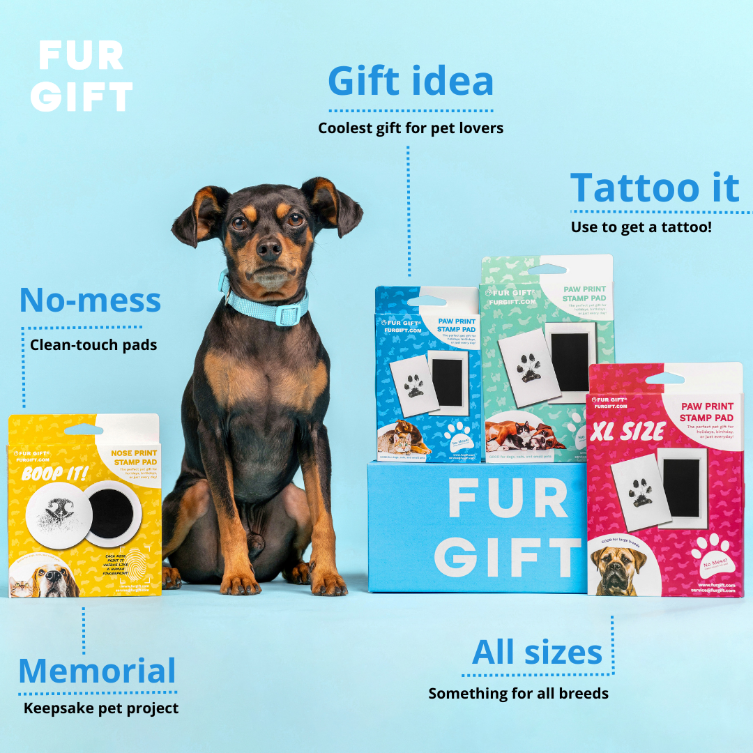 Pet Nose Print Stamp Kit 
