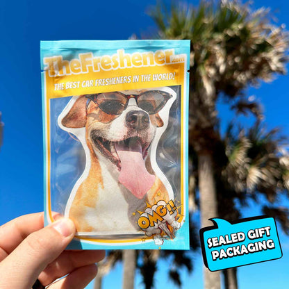 INSTAFRESH: Custom Fresheners